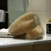 Loofah - Image 3