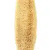 Loofah - Image 2